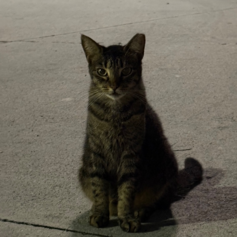 Photo of Chuchi