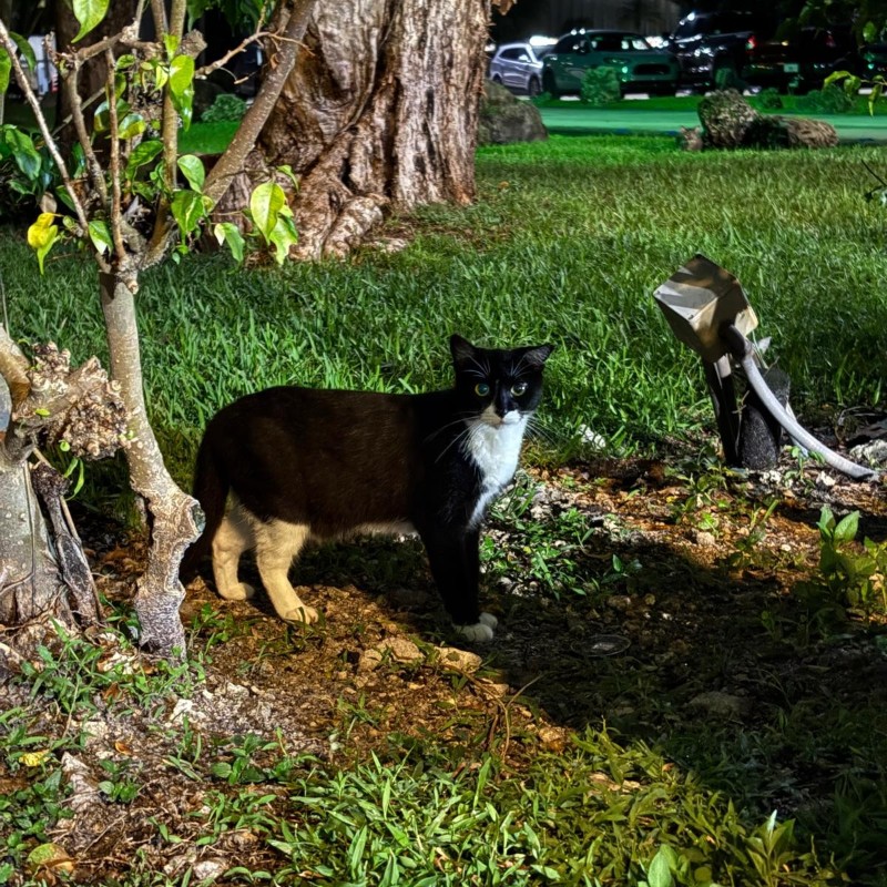 Photo of Teddy