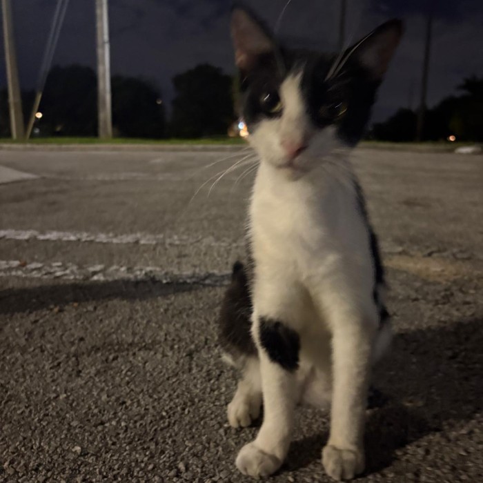 Photo of Cuqui