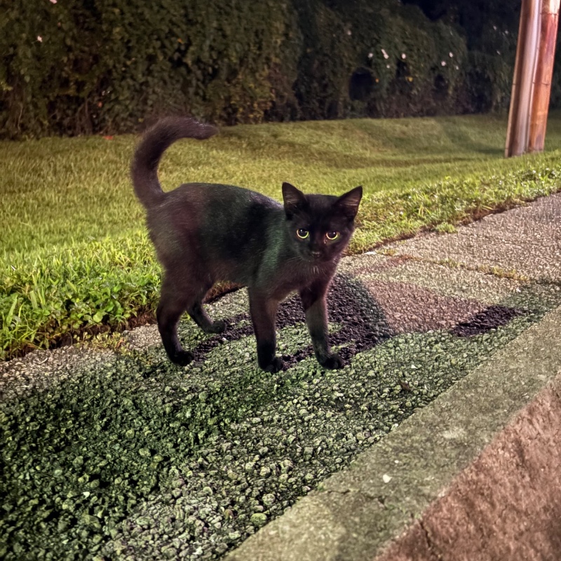 Photo of Corazón ♥️