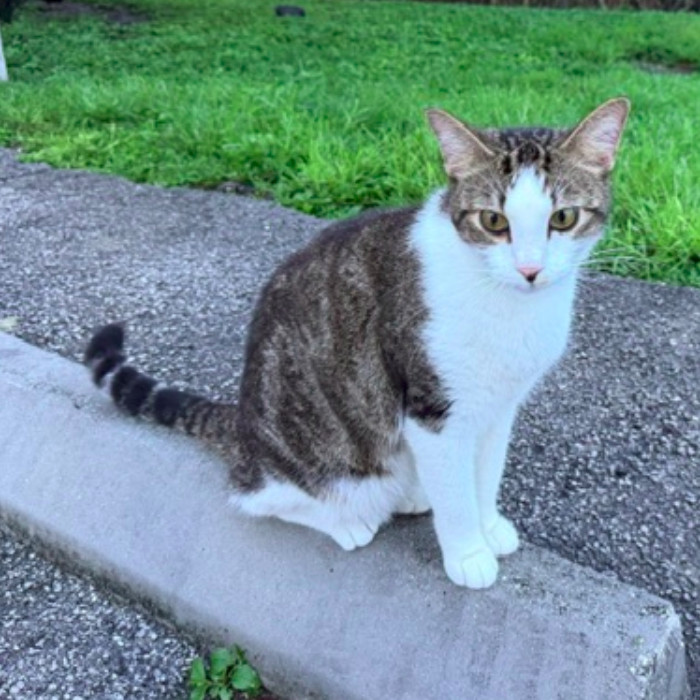 Photo of Princess